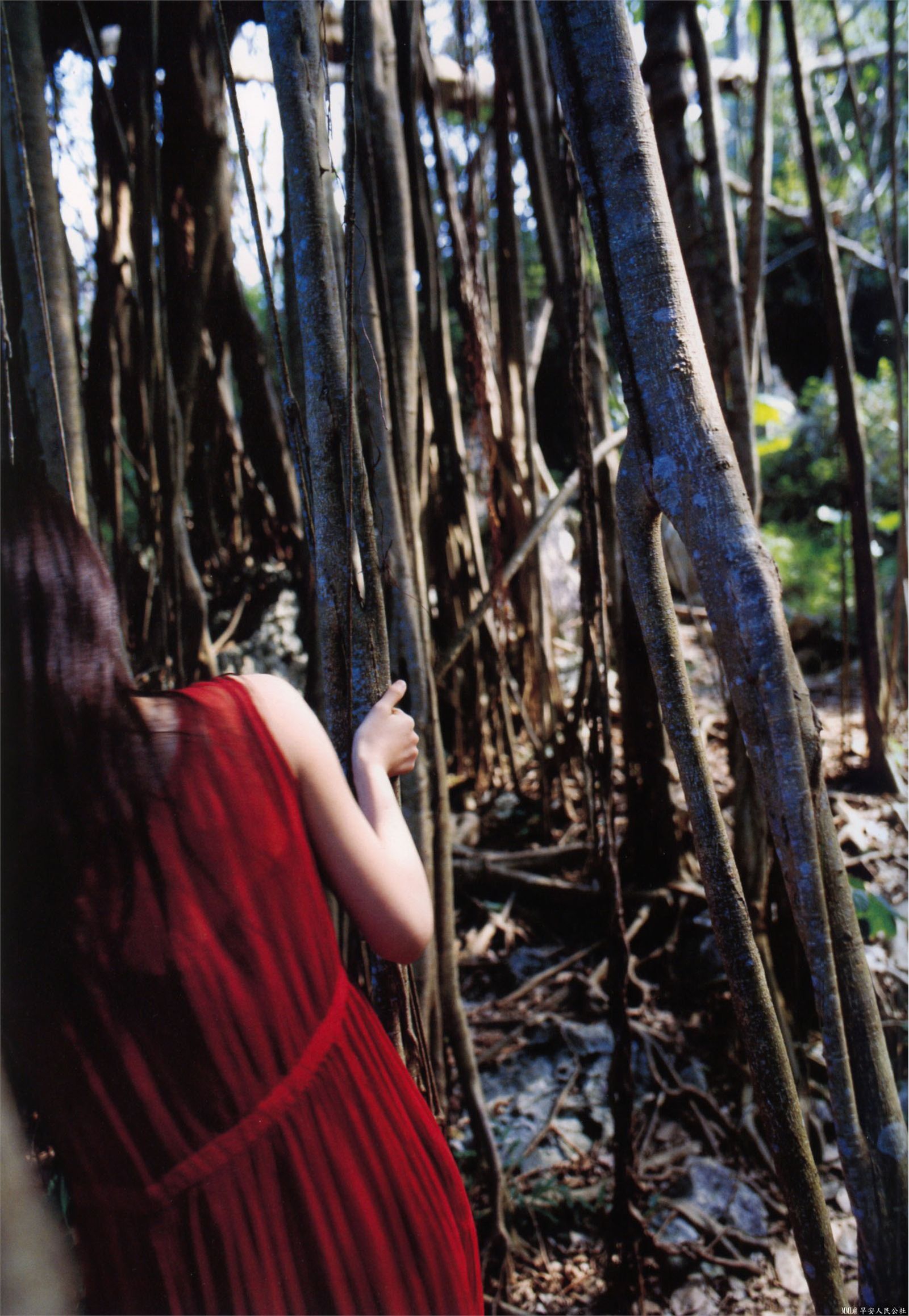 道重さゆみ「憧憬」 [PB写真集] Sayumi Michishige